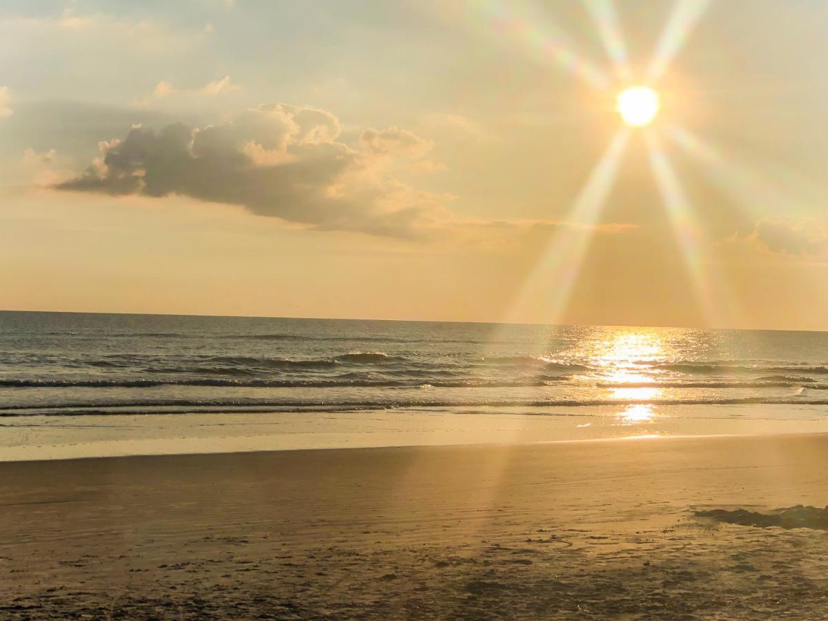 Sand Dollar Condominiums Daytona Beach Shores Eksteriør bilde